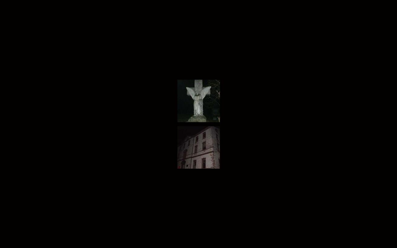 Carrd profile picture for @manipulated